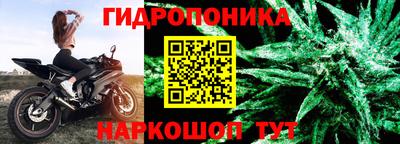 прущие крисы Кингисепп