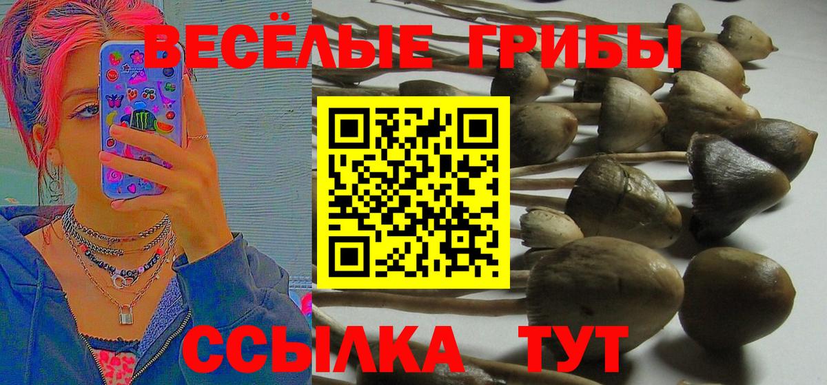 Кострома  Псилоцибиновые грибы ЛСД  Вход с VPN 
