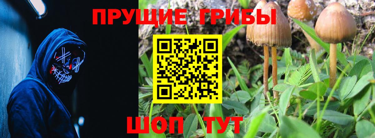 Псилоцибиновые грибы мухоморы Кострома