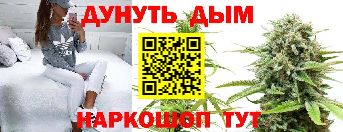 Канабис семена Кострома